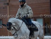 Berlin Tosc Tour2013- S5 1819 : Arezzo, Berlin, Cavalli d'Italia, Toscana Tour 2013, foto di Stefano Secchi ©